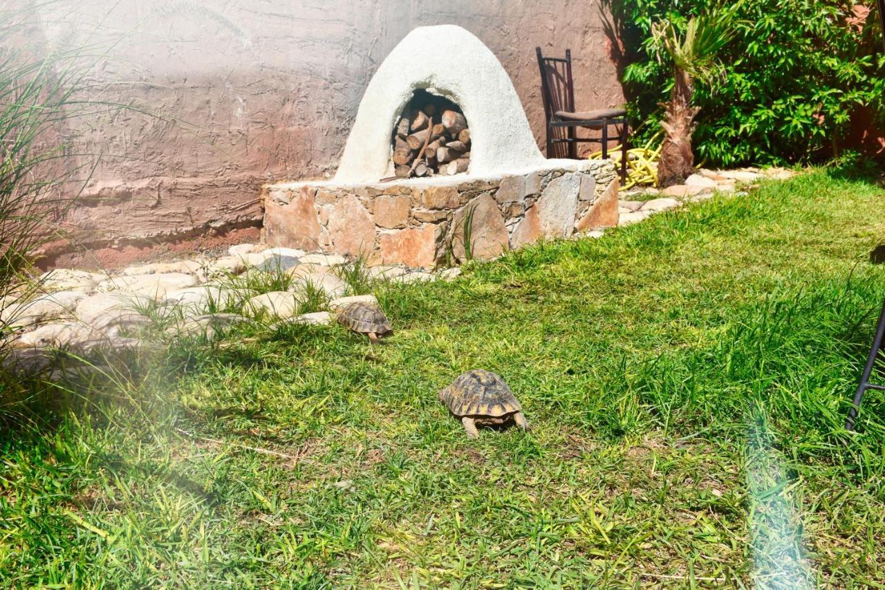 Route De Miel Apartment Agadir Bagian luar foto